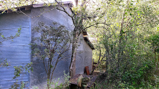 Nature Preserve «Warbler Woods», reviews and photos, 19349 Old Wiederstein Rd, Cibolo, TX 78108, USA