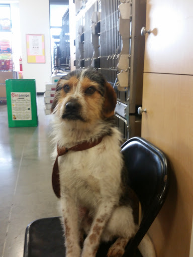 Pet Supply Store «Petsense Searcy», reviews and photos, 3450 E Race Ave, Searcy, AR 72143, USA