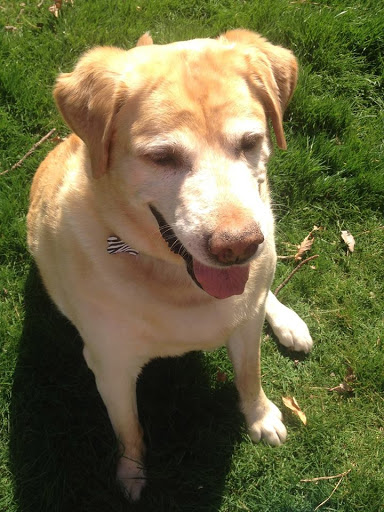 2000 Maidens Road, Maidens, VA 23102, USA