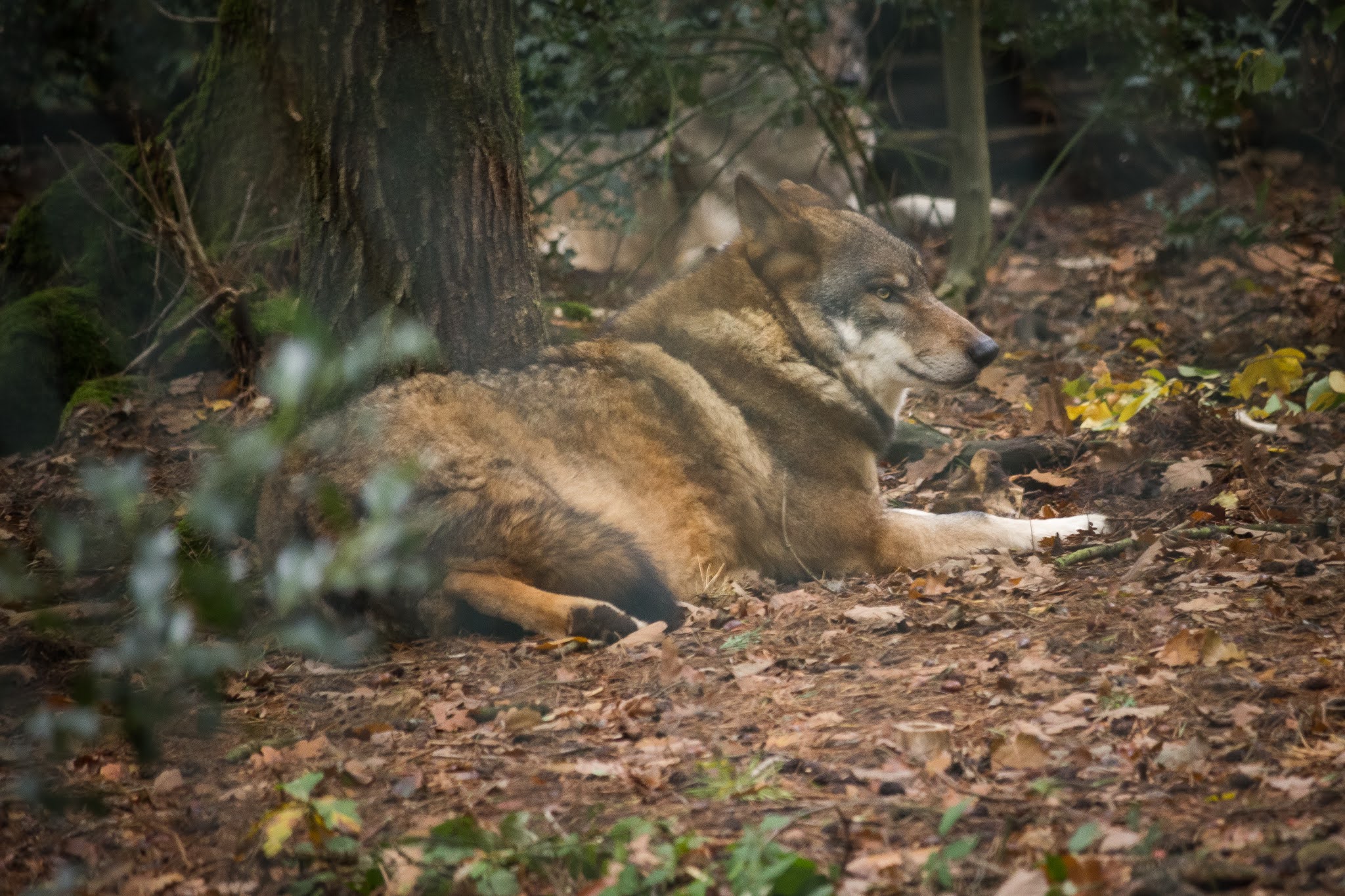 Photo n° 1 de l'avis de Ricou.H fait le 28/10/2020 à 16:42
