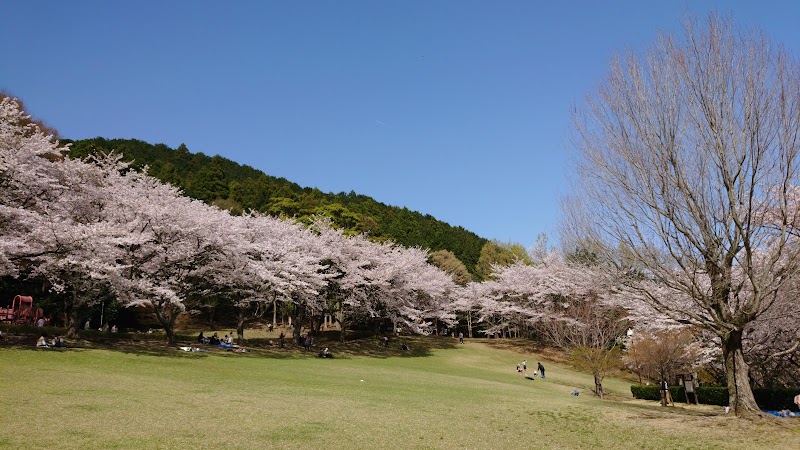 松阪市森林公園