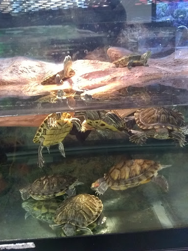 Pet Supply Store «Petco Animal Supplies», reviews and photos, 2515 W Mason St, Green Bay, WI 54303, USA