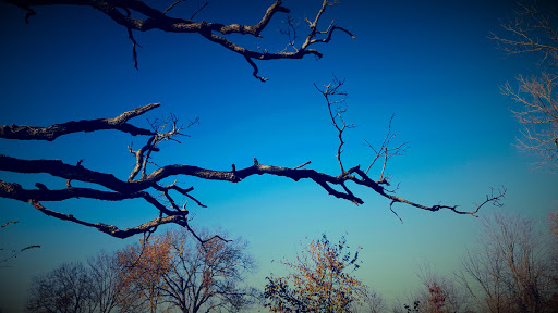 Nature Preserve «Lakewood Forest Preserve», reviews and photos, 27277 N Forest Preserve Rd, Wauconda, IL 60084, USA