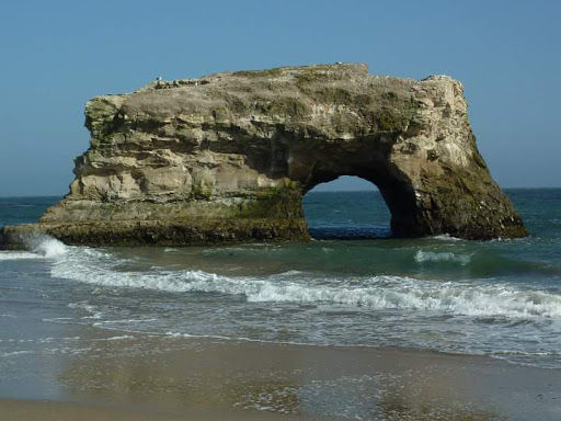 Tourist Attraction «Natural Bridges Monarch Trail», reviews and photos, 2531 W Cliff Dr, Santa Cruz, CA 95060, USA