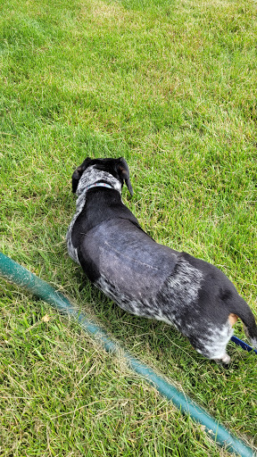 Honegger Animal Clinic