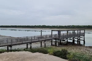 Mirador de La Algaida image