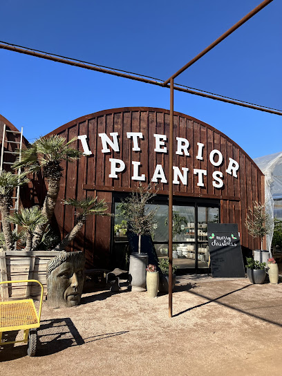 Desert Horizon Nursery & Landscape Design