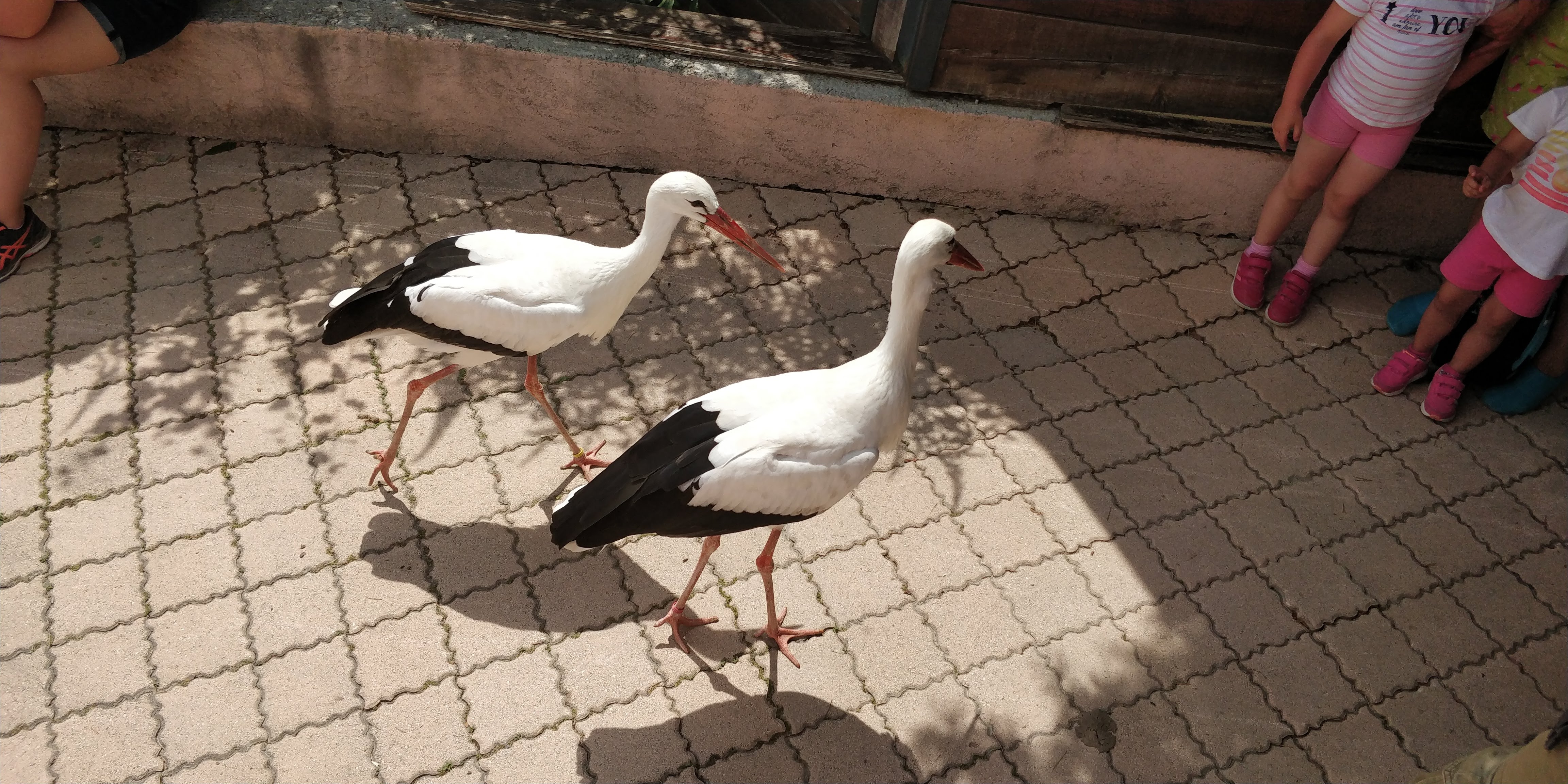 Photo n° 1 de l'avis de Sylvain.e fait le 02/08/2018 à 06:25