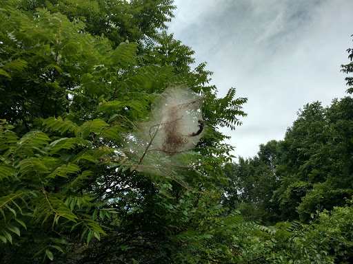 Nature Preserve «Sauk Trail Woods», reviews and photos, 3028 Forest Preserve Dr, Chicago Heights, IL 60411, USA