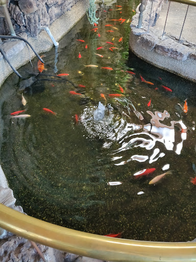 Car Wash «Pacific Car Wash Corporation», reviews and photos, 41080 Trimboli Way, Fremont, CA 94538, USA