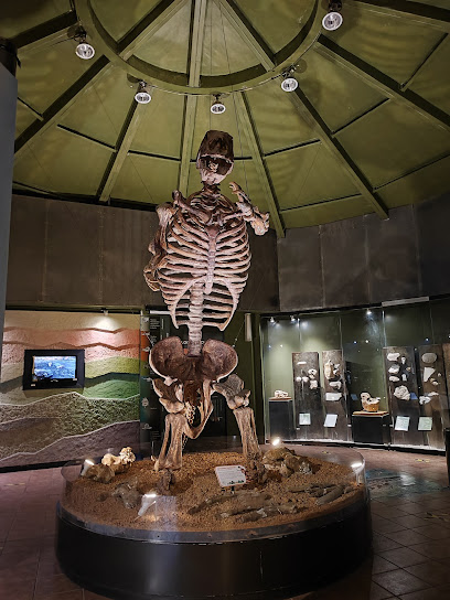 Museo de Fosiles