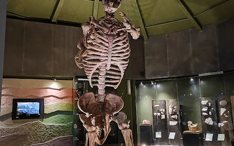 Museo de Fosiles image