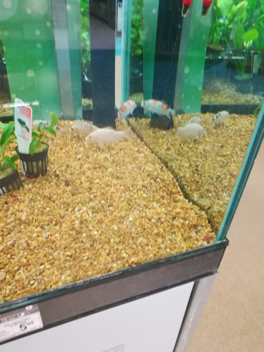 Pet Supply Store «Petco Animal Supplies», reviews and photos, 753 53rd Ave NE, Fridley, MN 55421, USA