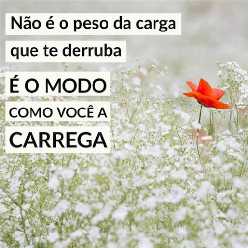 Af1qipnjmlrf8eqafqq3nhvkreyshfwmghnifk zgzi