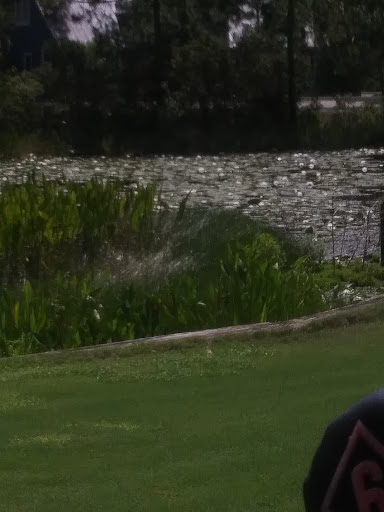 Golf Club «St. James Bay Golf Club», reviews and photos, 151 Laughing Gull Ln, Carrabelle, FL 32322, USA