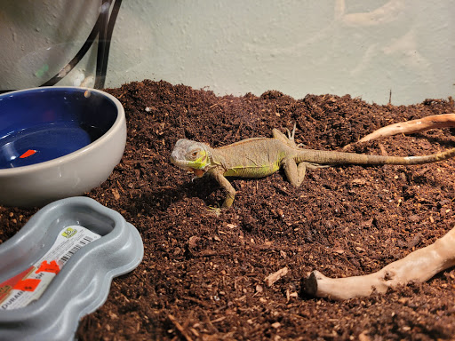 Pet Store «Southside Aquatics», reviews and photos, 2039 Pleasanton Rd, San Antonio, TX 78221, USA