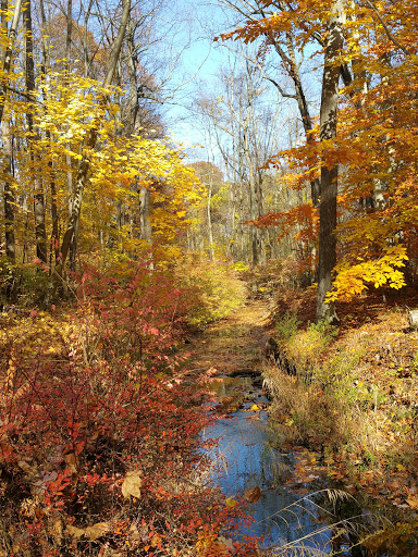 Bristow Sanctuary & Wildwood Preserve