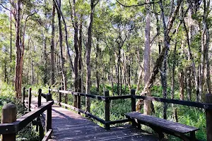 Brisbane Koala Bushlands image