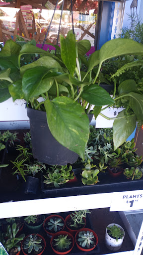 Discount Store «99 Cents Only Stores», reviews and photos, 543 N Azusa Ave, Covina, CA 91722, USA