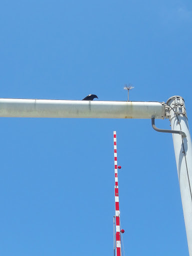 Golf Club «Jupiter Dunes Golf Club», reviews and photos, 401 N Hwy A1A, Jupiter, FL 33477, USA