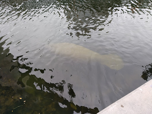 Park «Jose Marti Park», reviews and photos, 351 SW 4th Ave, Miami, FL 33144, USA