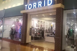 Torrid image