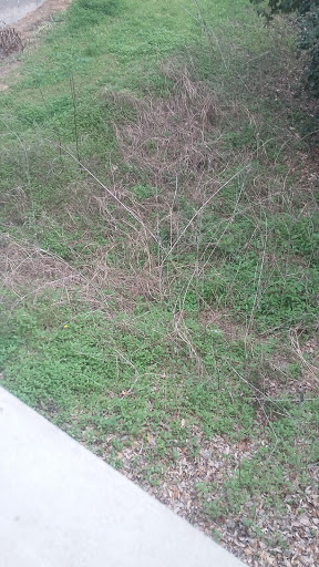 National Park «Waco Mammoth National Monument», reviews and photos, 6220 Steinbeck Bend Dr, Waco, TX 76708, USA