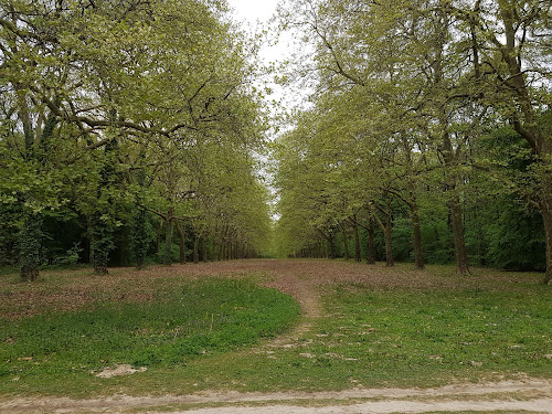 Parc de Villeroy à Mennecy