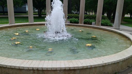 Museum «The Health Museum», reviews and photos, 1515 Hermann Dr, Houston, TX 77004, USA