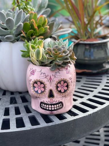 Hardware Store «Laurel Ace Hardware», reviews and photos, 4024 MacArthur Blvd, Oakland, CA 94619, USA