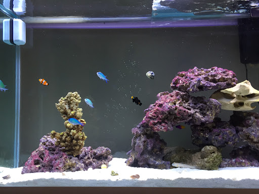 5440 Babcock Rd A133, San Antonio, TX 78240, USA