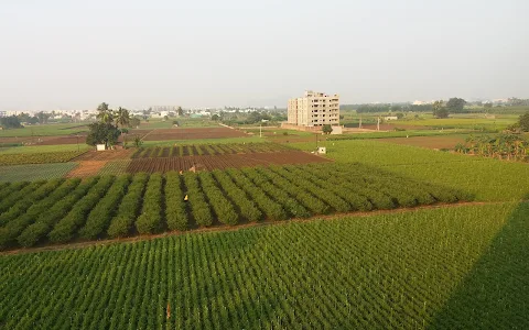 SAI CHALAPATHI HOSTEL image