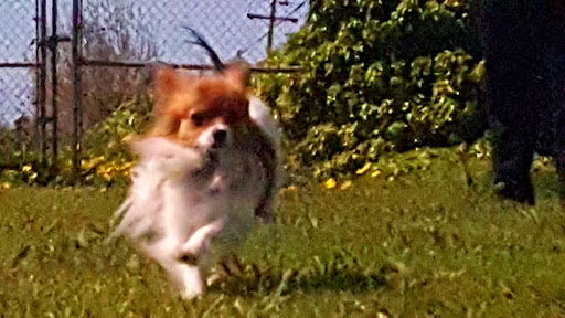 Pet Supply Store «The Farm Store», reviews and photos, 3956 Jacobs Ave, Eureka, CA 95501, USA