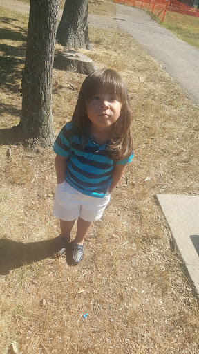 Park «Poplar Tree Park», reviews and photos, 4718 Stringfellow Rd, Fairfax, VA 22030, USA