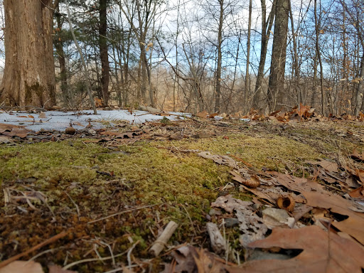 State Park «Highland Lakes State Park», reviews and photos, 55-223 Tamms Rd, Middletown, NY 10941, USA