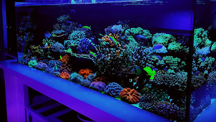Aqua Reef Central