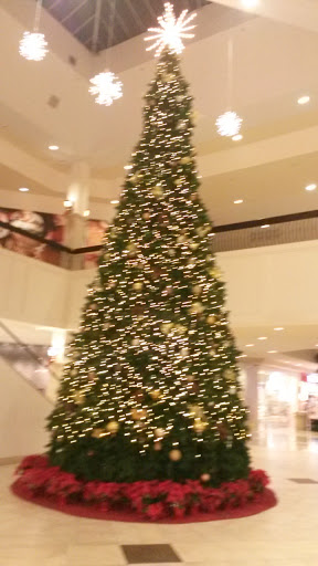 Movie Theater «Edwards Santa Maria 14 & RPX», reviews and photos, 100 Town Center E, Santa Maria, CA 93454, USA