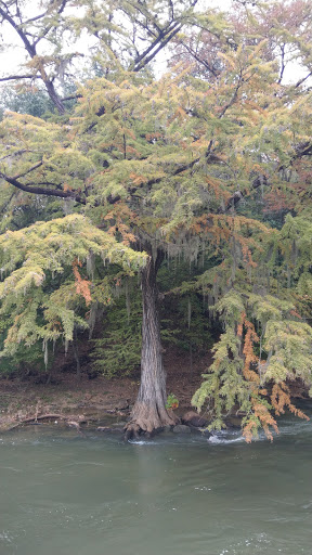 Tourist Attraction «Gruene Historic District», reviews and photos, 1601 Hunter Rd, New Braunfels, TX 78130, USA
