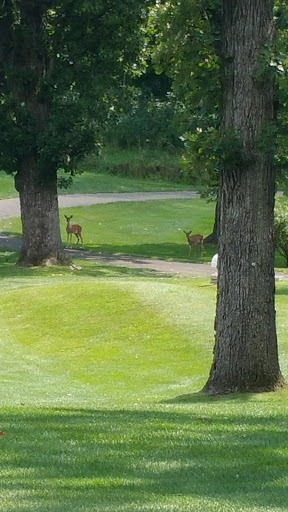 Golf Course «Bull Valley Golf Club», reviews and photos, 1311 Club Rd, Woodstock, IL 60098, USA