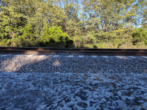 National Park «Stones River National Battlefield», reviews and photos, 3501 Old Nashville Hwy, Murfreesboro, TN 37129, USA