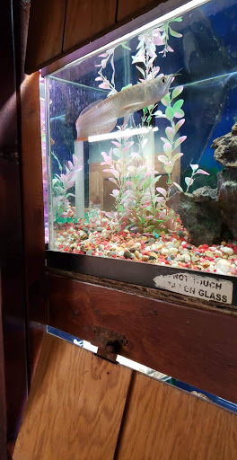 Pet Supply Store «Pet Station Jackson», reviews and photos, 1617 E Michigan Ave, Jackson, MI 49202, USA