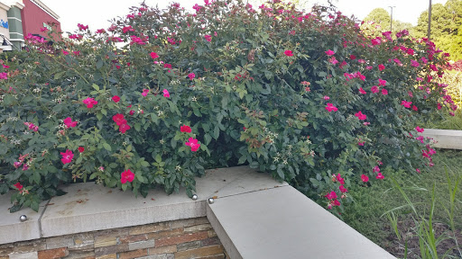 Shopping Mall «Braelinn Village Shopping Center», reviews and photos, 548 Crosstown Drive, Peachtree City, GA 30269, USA