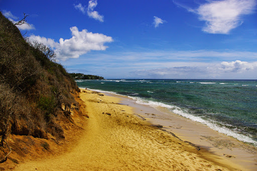 Diamond Head Beach Park