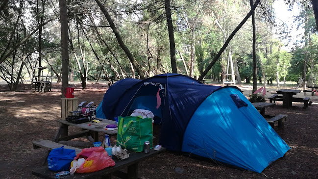 Opiniones de Camping Tinas Calientes en Coihueco - Camping