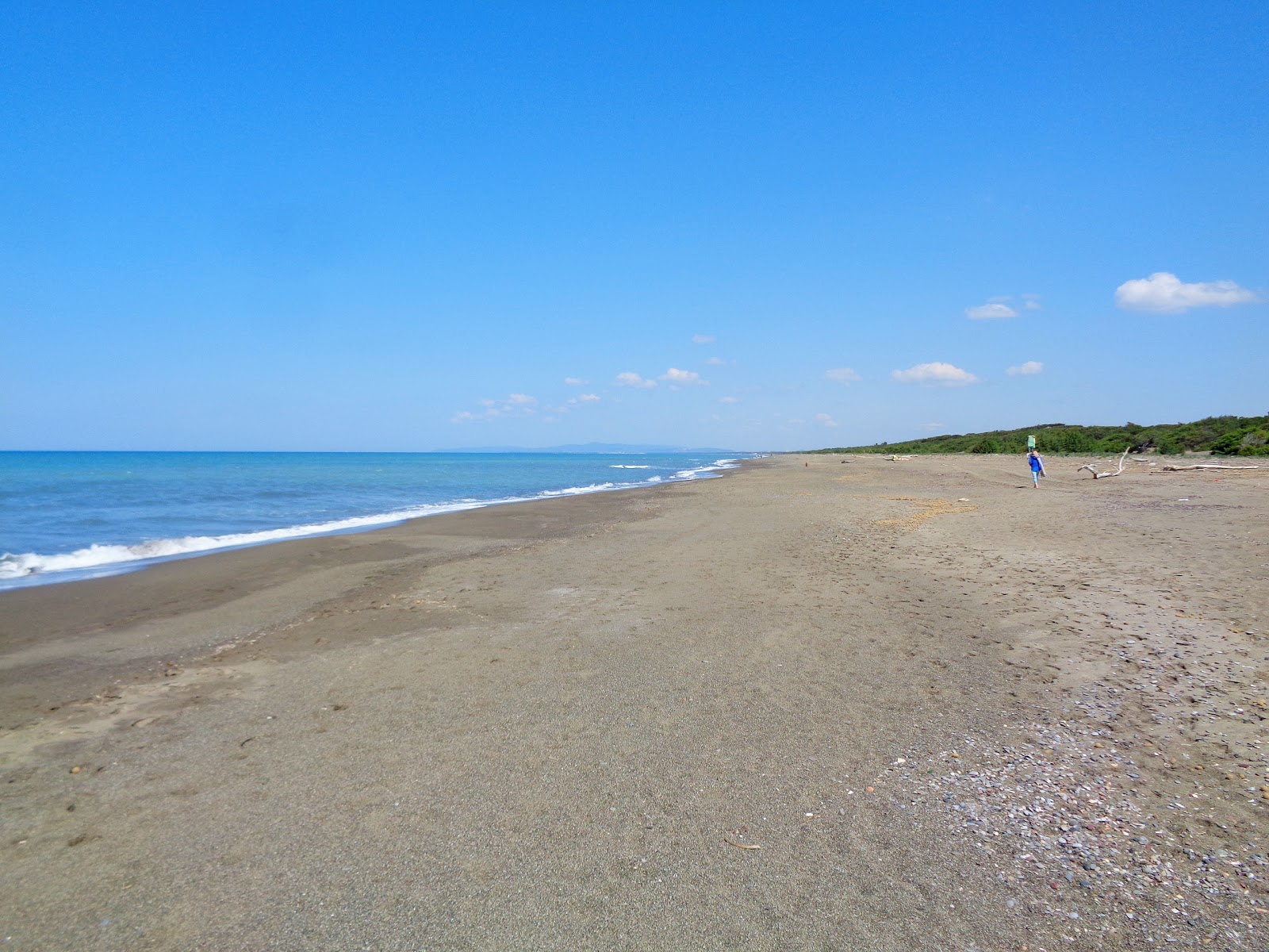 Photo de Palone beach avec sable brun de surface