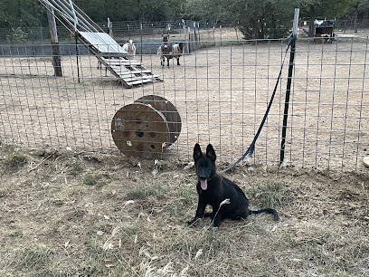 Central Texas Working Dogs at GSD Ranch