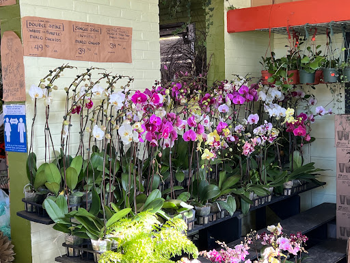 Florist «Austin Flower Co», reviews and photos, 1612 W 35th St, Austin, TX 78703, USA