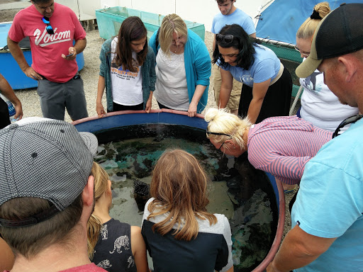 Aquarium «The SEA Lab», reviews and photos, 1021 N Harbor Dr, Redondo Beach, CA 90277, USA