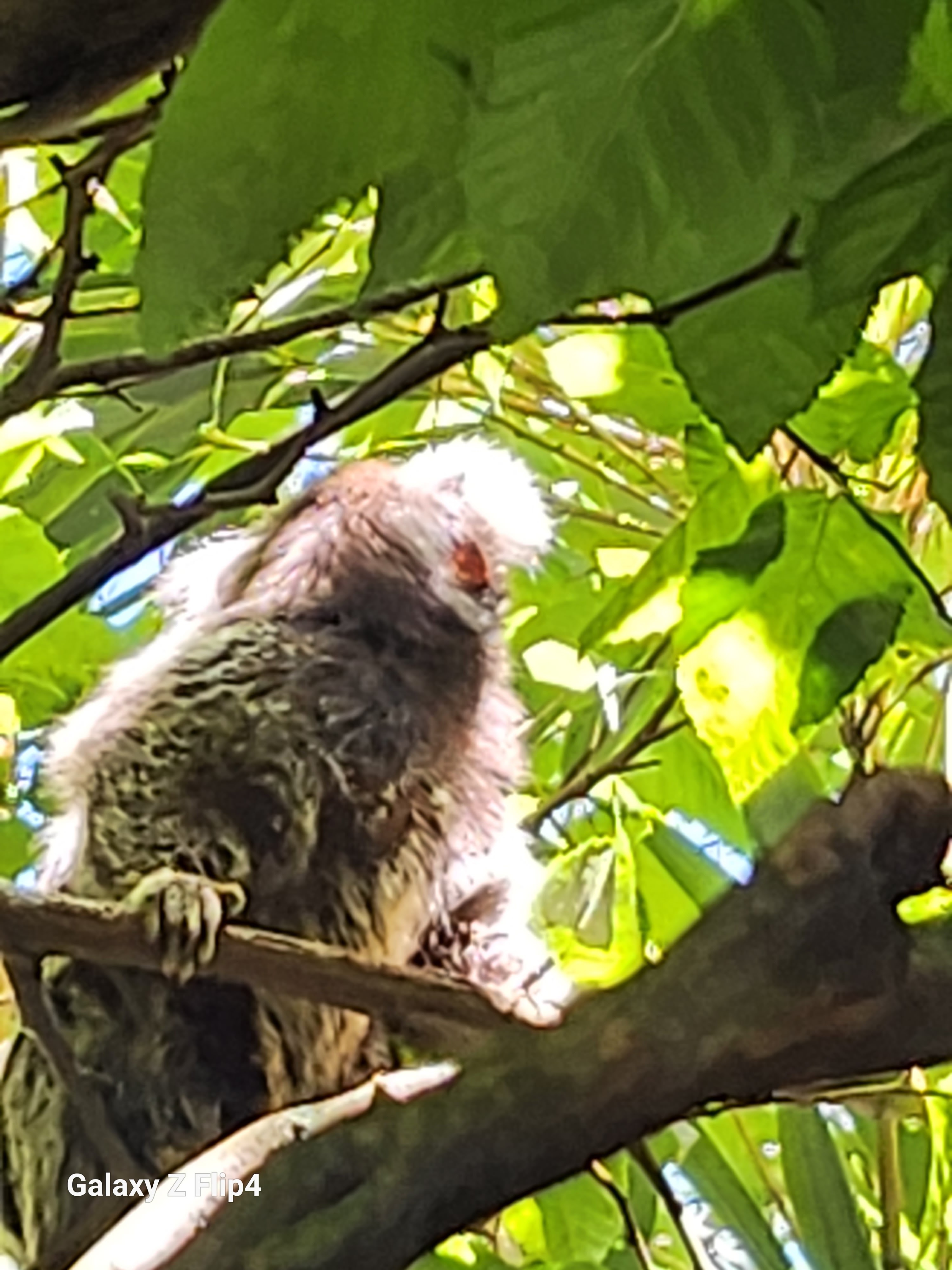 Photo n° 18 de l'avis de pascal.h fait le 02/05/2023 à 19:13