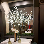 Photo n°10 de l'avis de Sofija.o fait le 12/12/2022 à 10:19 sur le  Pizzeria Vesuvio Udine à Udine